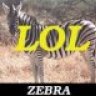 LOLZebra