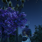 Sky Far