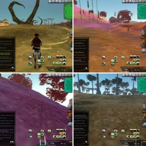 Blog screens