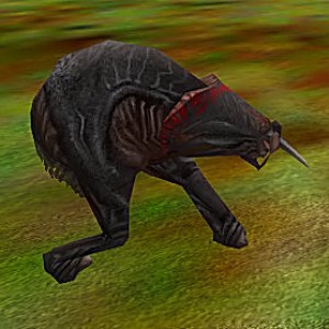 Cornundos