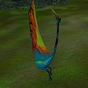 Plumatergus