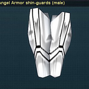 Angel Shins