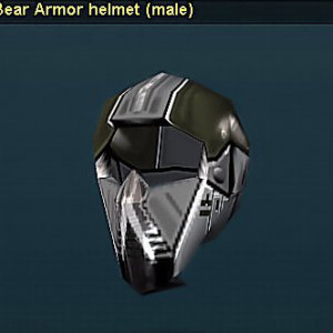 Bear Helmet