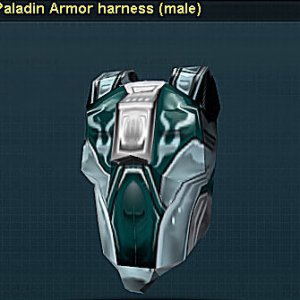 Paladin Harness