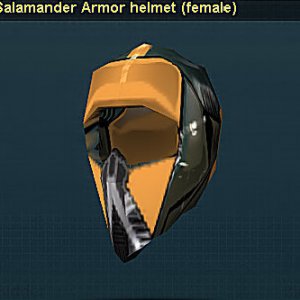Salamander Helmet