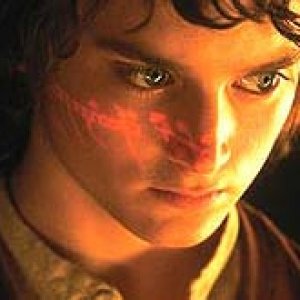 Frodo vs. Leafren