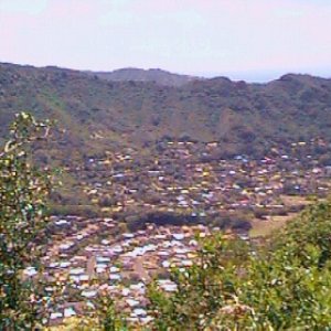 manoa1c
