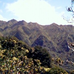 manoa1e