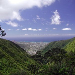 manoa1f