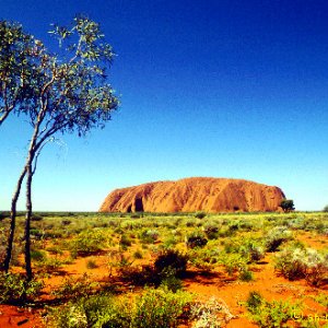 Uluru, a.k.a ayers rock