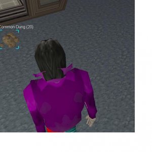 dung1