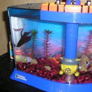 Fishie :P
