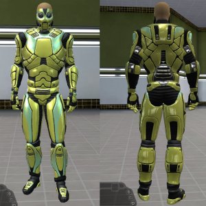 Pioneer Armor front and back