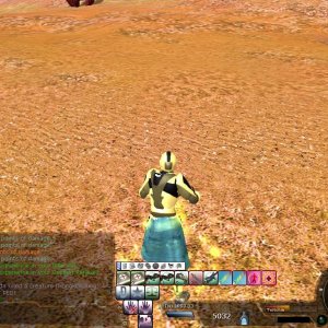 Hogg Solo & Team Globals
