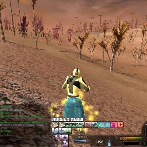 Hogg Solo & Team Globals