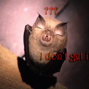 Idontgetit