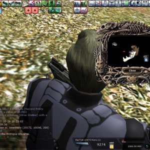 Fall hunting comp. 1