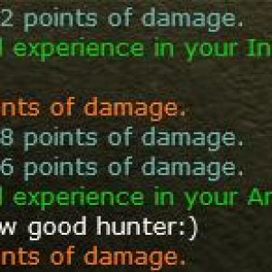 "Good" Hunter