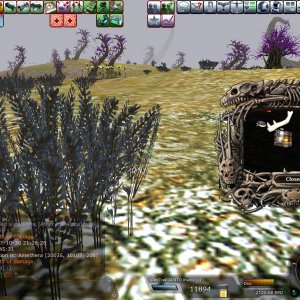 Spring HUnting Comp.