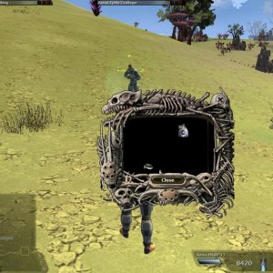 Birthday hunt6