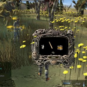 Birthday hunt7