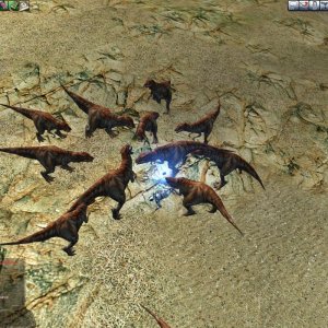 Death by Atrax