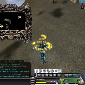 SttM Global