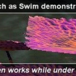 pe_ass_swim