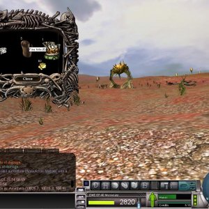 contest2