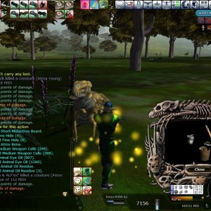 @lfex - Global Team #41