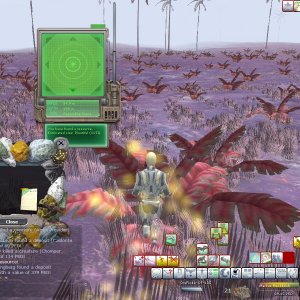 Entropia2007-12-1000-12-11-95
