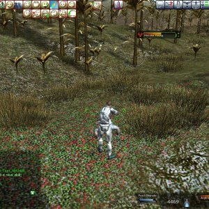 2 New rank in noobness, Medicine