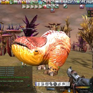 SCREENSHOT_20071219170856296