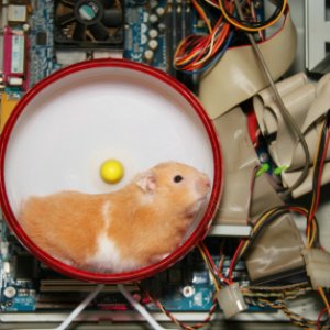 hamster_powered_computer_xsmall