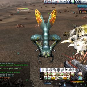 SCREENSHOT_20071223002303453