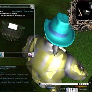 14.06ESI