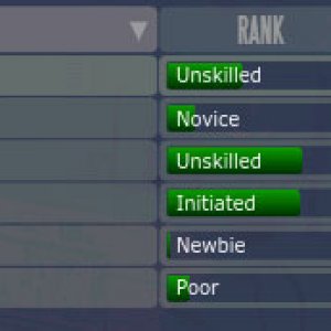 Info Skills