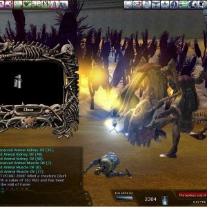 Aurli yy