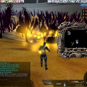 Great Aurli hunt