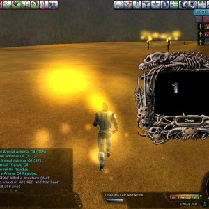 Great Aurli hunt