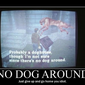 No dog around wallie