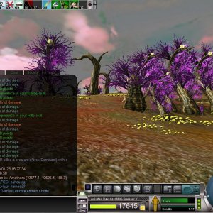 atrox paradise 08