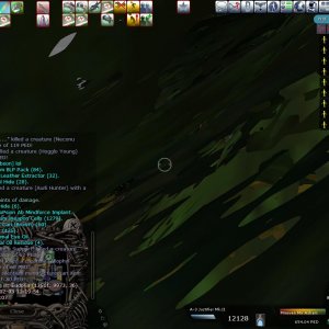 Entropia2008-02-0313-21-33-73