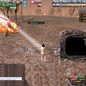 Noob Dream