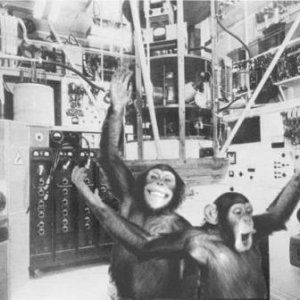 Server monkeys