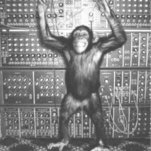 Chief server monkey.