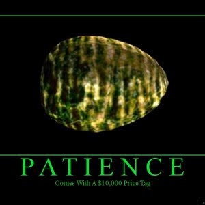 Patience
