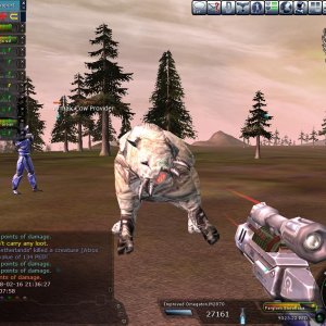 WoF2008-Netherlands-Stage2-Pic9