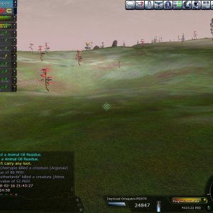 WoF2008-Netherlands-Stage2-Pic10