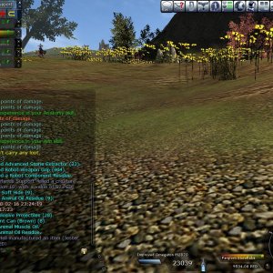 WoF2008-Netherlands-Stage2-Pic18